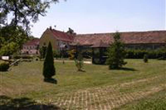 camp Busek image 1