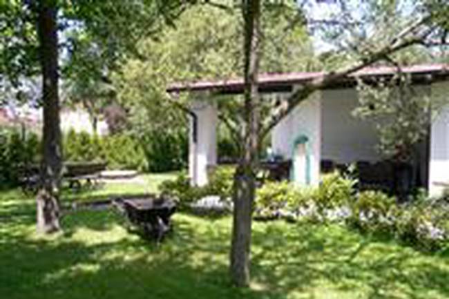 camp Busek image 0