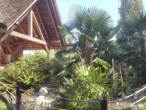 Camp, camping Eucalyptus 3