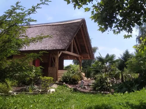 Camp, camping Eucalyptus 5