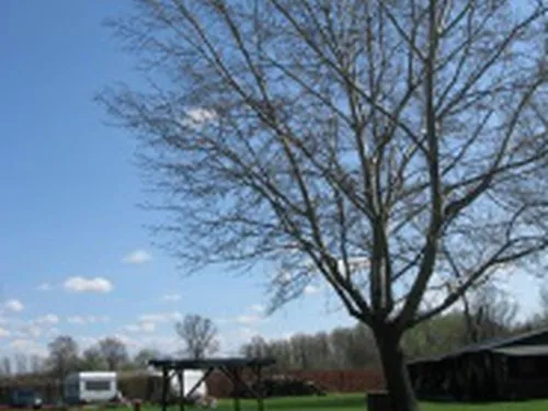 Camp Pálava - Nové Mlýny 8