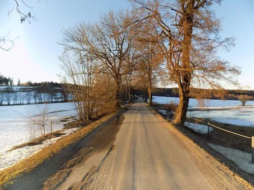 Camp Velkopařezitý 5