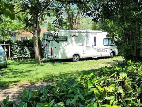 Campeggio Albero D`oro 4