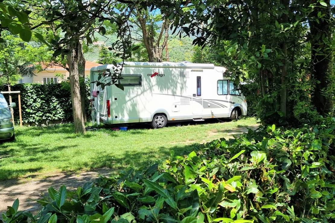 Campeggio Albero D`oro 5