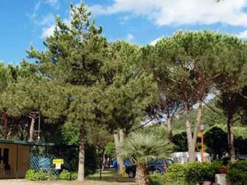 Camping Amalasunta 2