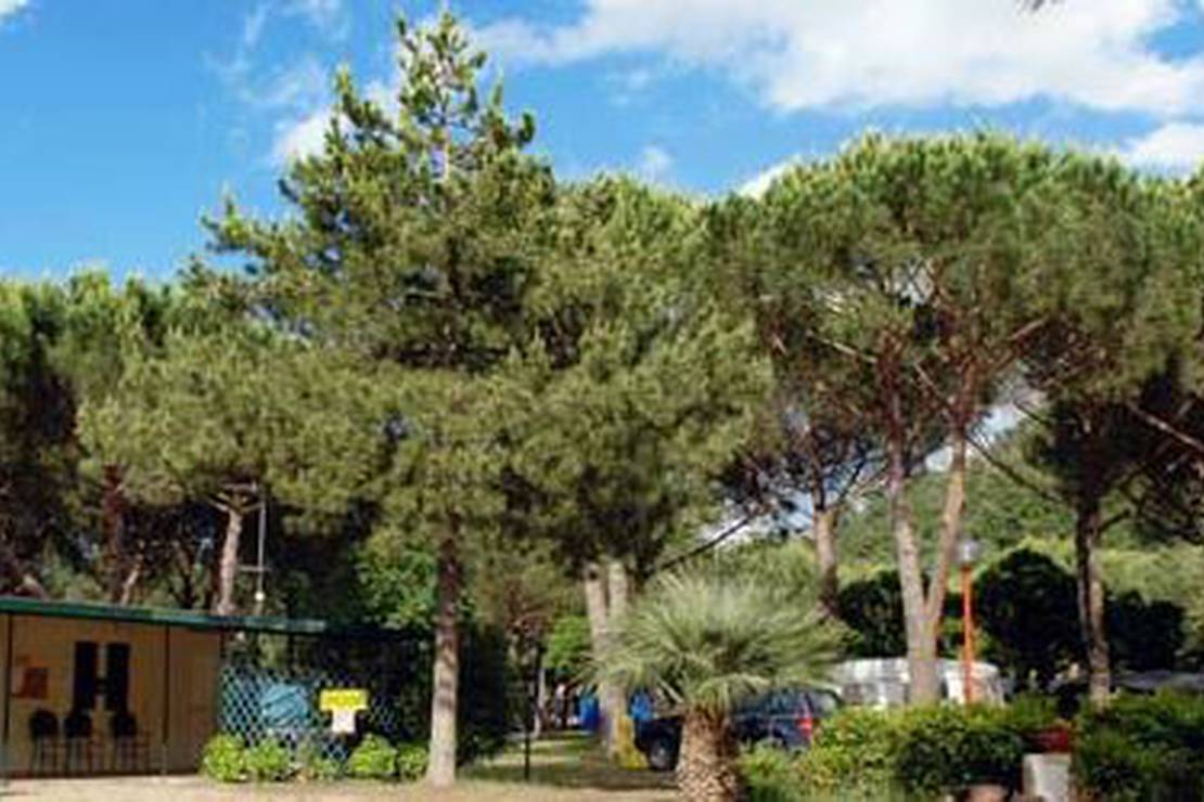 Camping Amalasunta 3