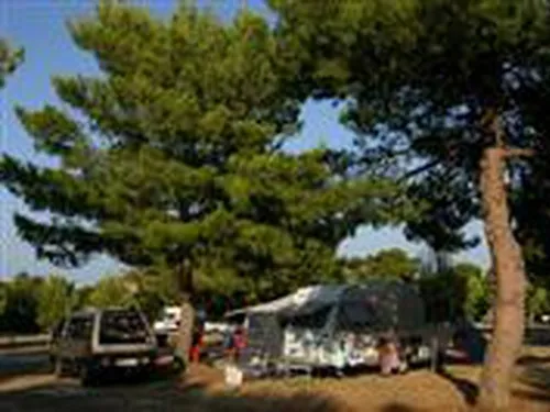 Campeggio Baia dei Campi 7