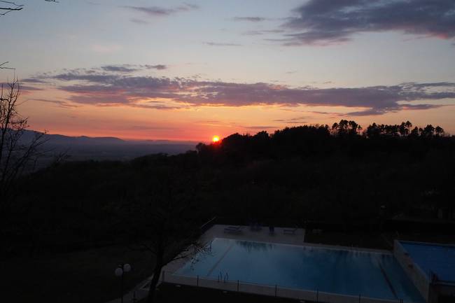 Schöner kann man einen Pool nicht anlegen!