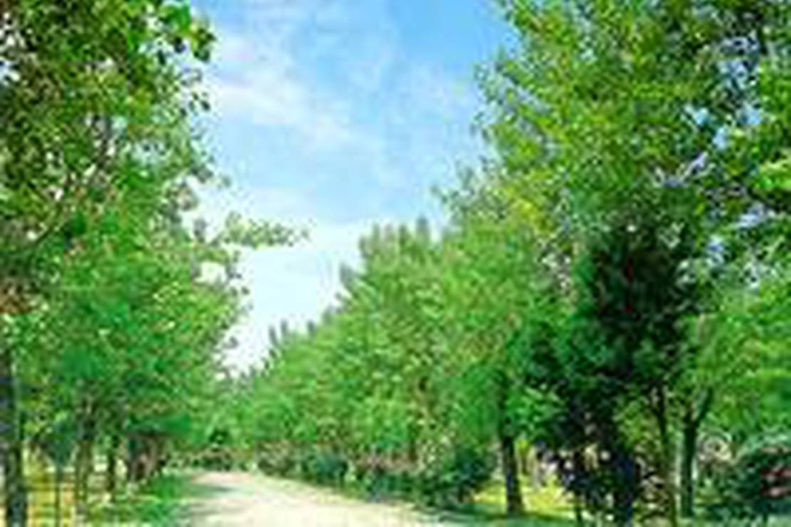 Campeggio Belvedere 4