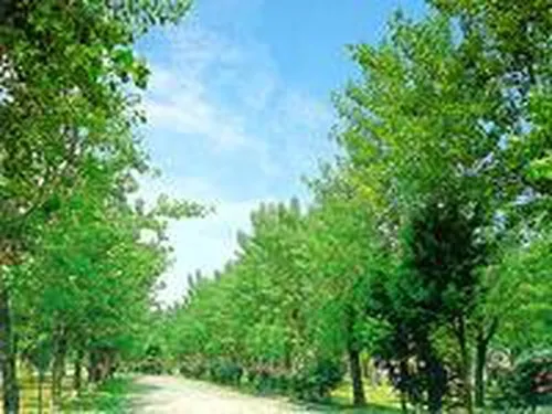 Campeggio Belvedere 3