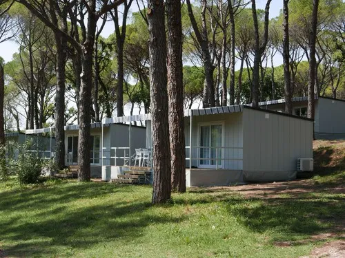 Campeggio Belvedere Pineta 7