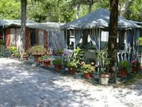 Campeggio Burlamacco 3