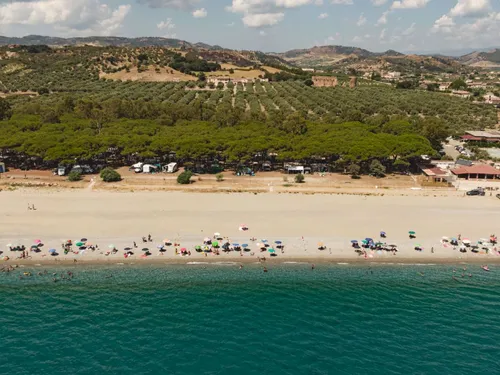 Camping Cammello Grigio Gray Camel 3