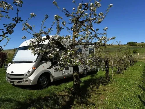 Agricamping La Rosa nel Borgo 5