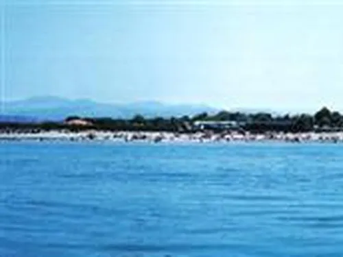 Campeggio Chalet Azzurro 5