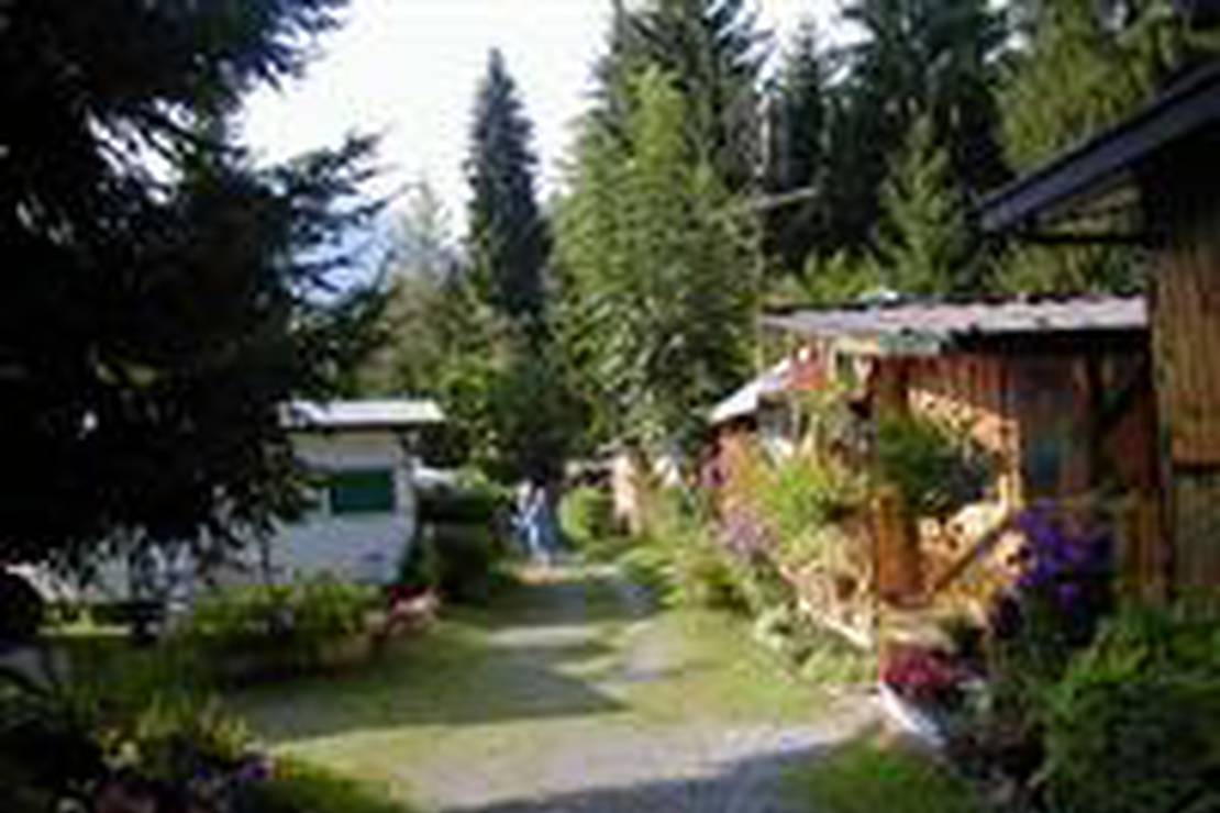 Campeggio Clusone Pineta 4