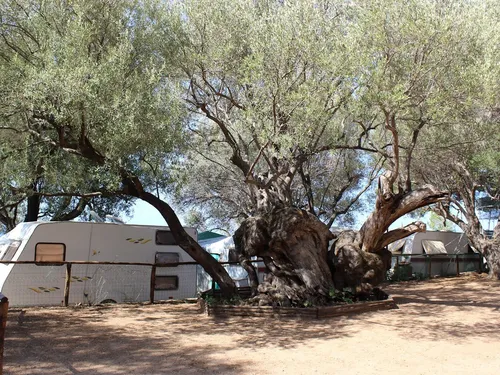 Campeggio Costa del Mito 5