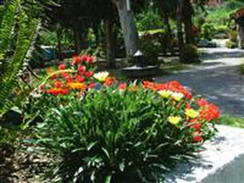 Campeggio De Wijnstok 3