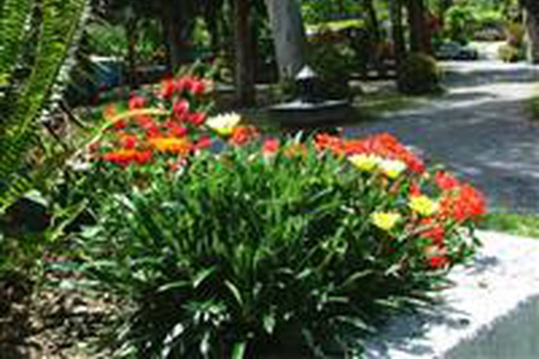 Campeggio De Wijnstok 4