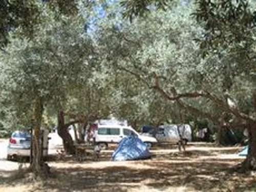 Campeggio Degli Ulivi 4