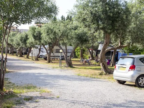 Campeggio Degli Ulivi 6