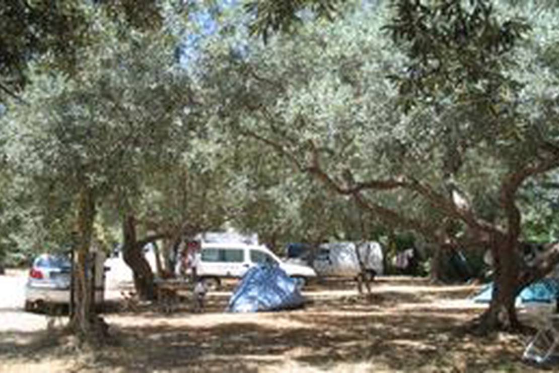 Campeggio Degli Ulivi 5