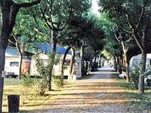 Campeggio Delle Rose 5