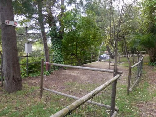 Campeggio Eucalyptus 5