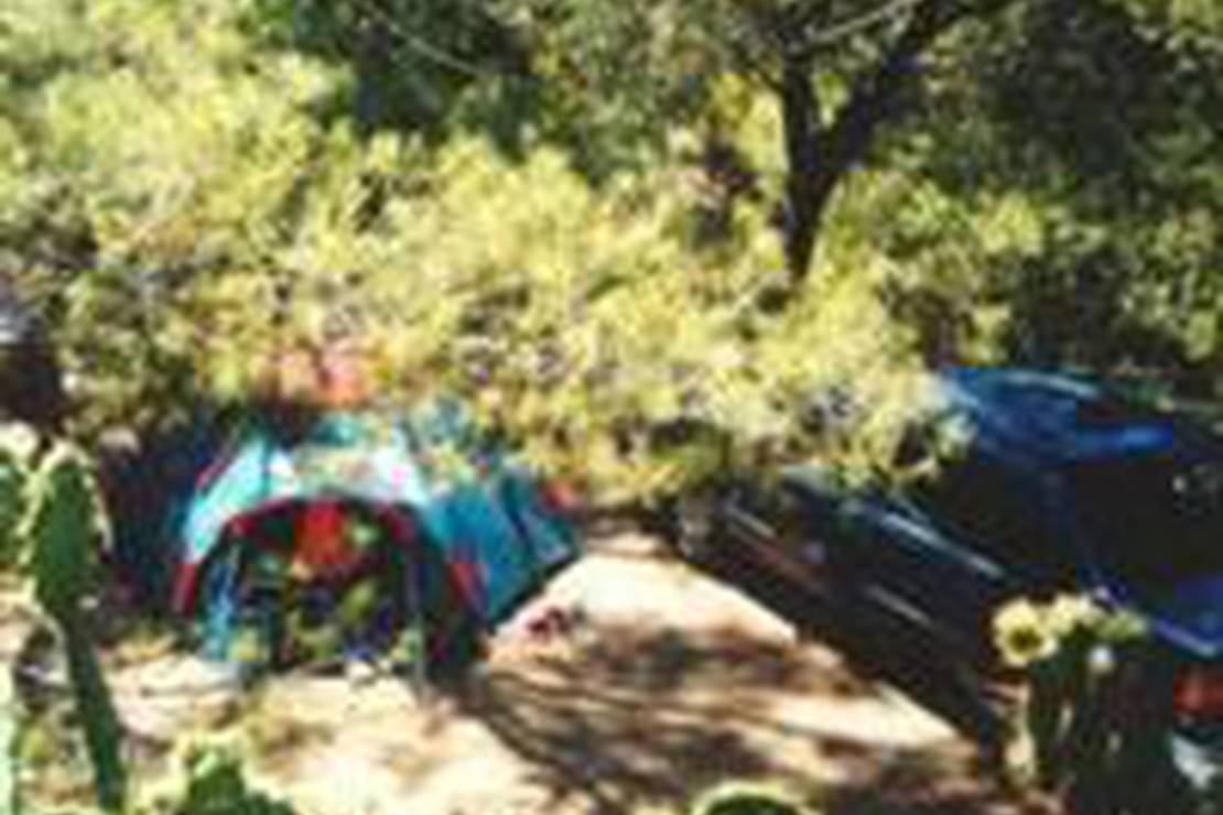 Campeggio Eucalyptus 4