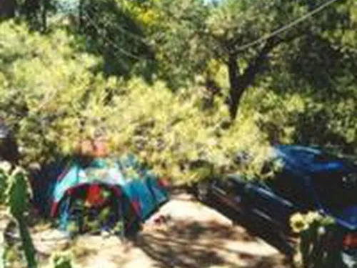 Campeggio Eucalyptus 3