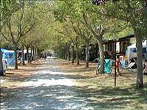 Campeggio Garden River 4