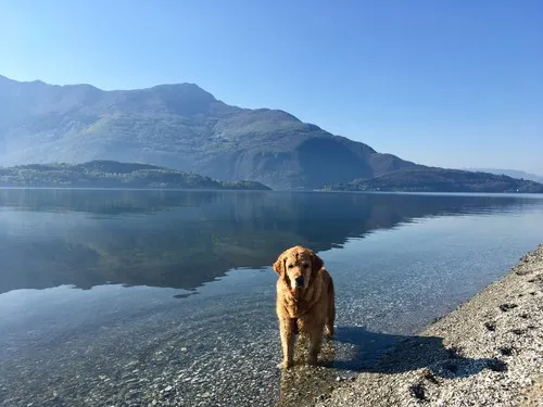 Campeggio Gardenia 5