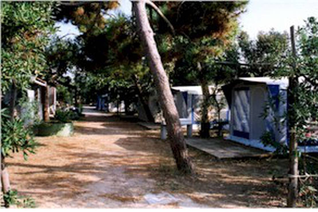 Campeggio Golden Garden 4