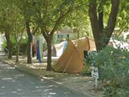 Campeggio Green Garden 4