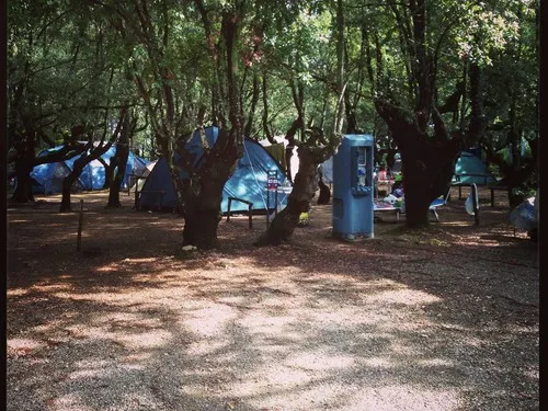 Campeggio Il Boschetto di Piemma 7