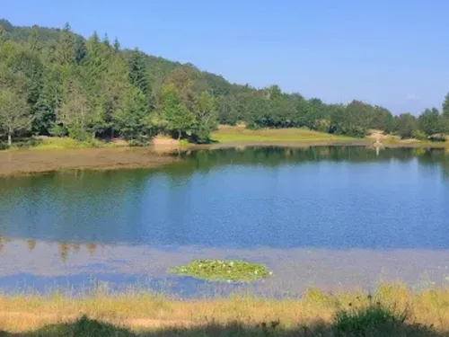 Campeggio Il Faggio 5