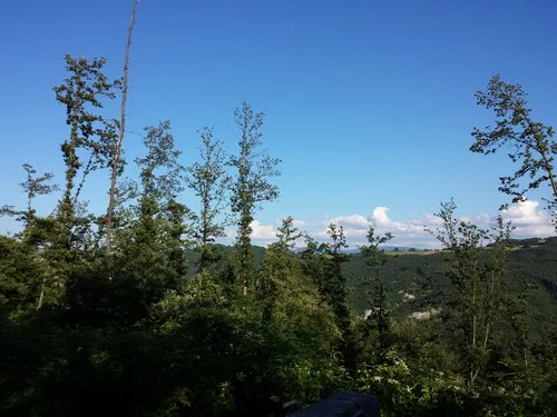 Campeggio Il Falco 6