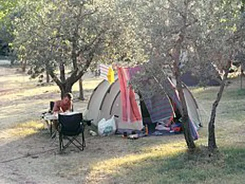 Campeggio Il Falcone 4