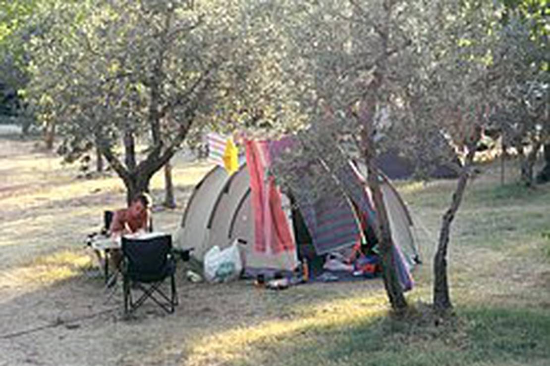 Campeggio Il Falcone 5