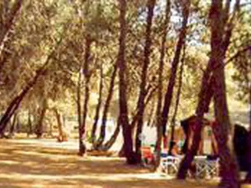 Campeggio Il Plingo 3