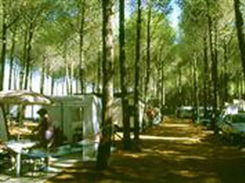 Campeggio Il Salice 3