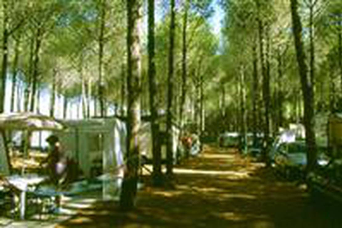 Campeggio Il Salice 4