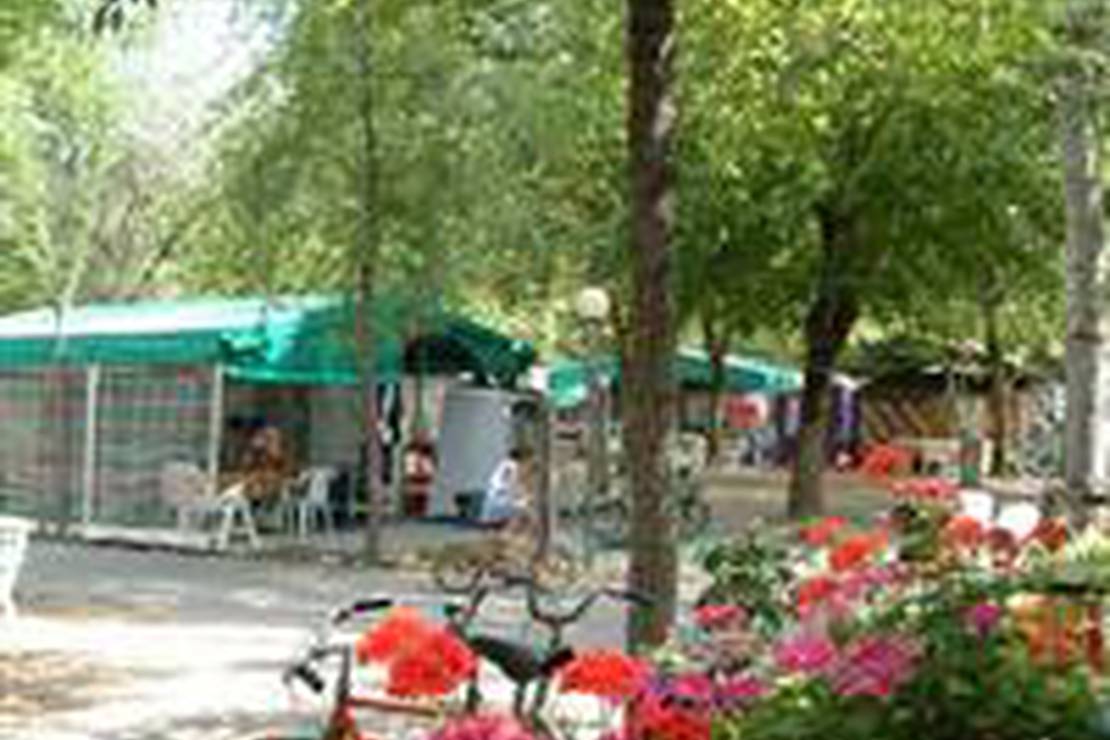 Campeggio International Nuovo 5