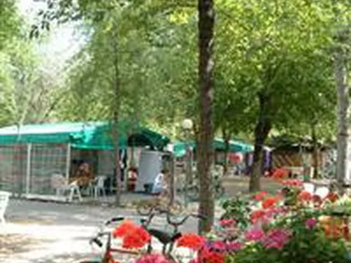 Campeggio International Nuovo 4