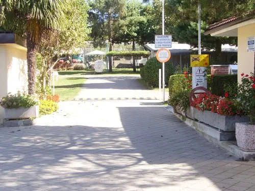 Campeggio Internazionale del Sole 6