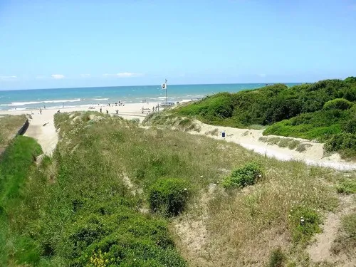 Camping Internazionale di Castelfusano 5