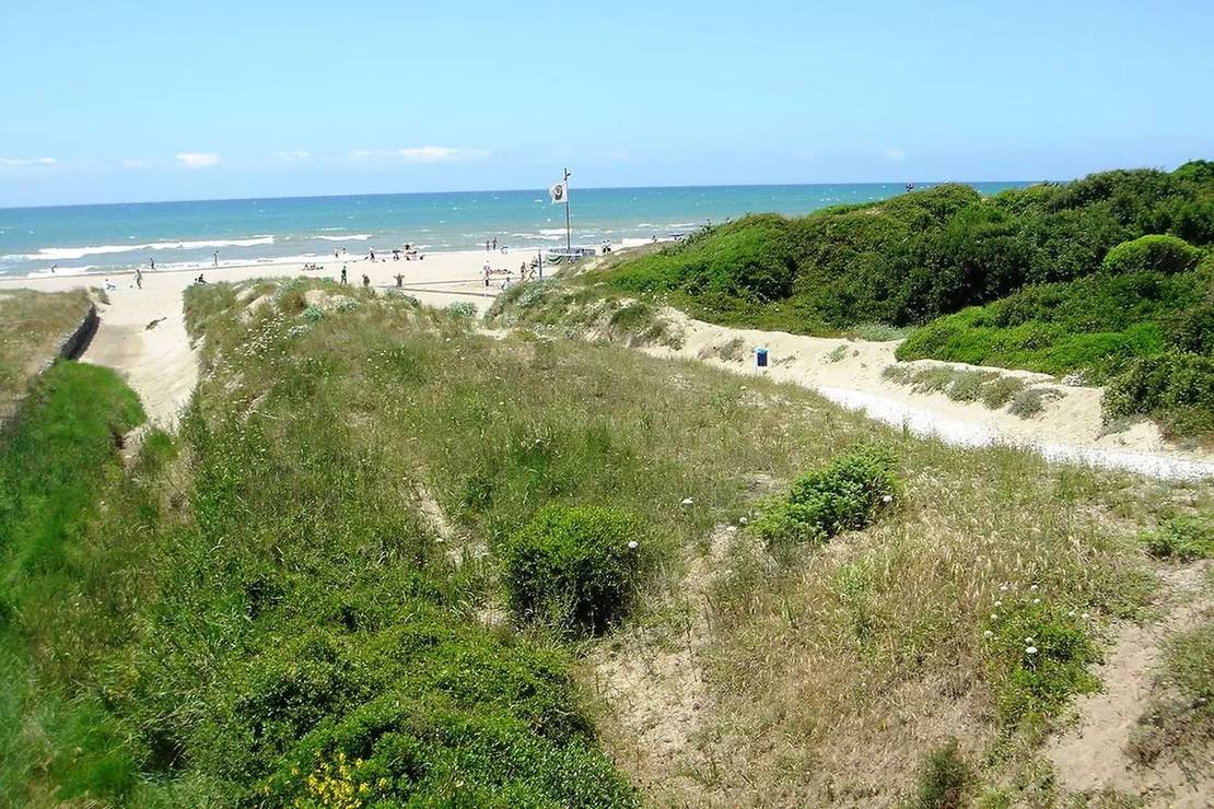 Camping Internazionale di Castelfusano 6