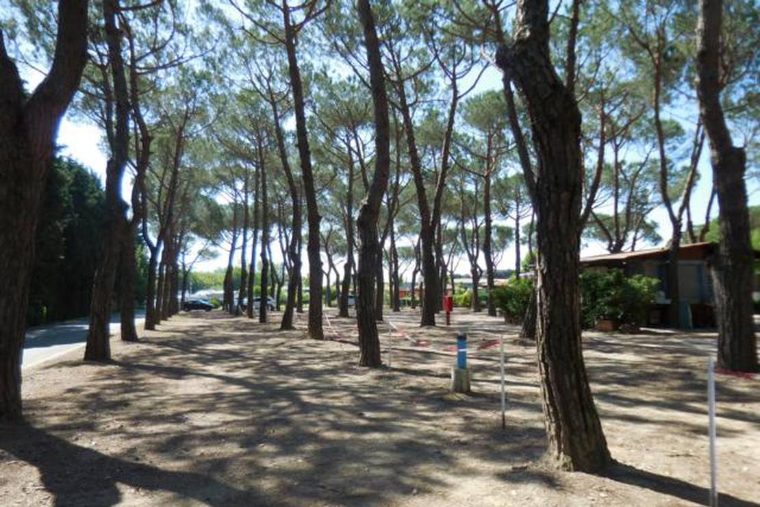 Campeggio Iron Gate 7