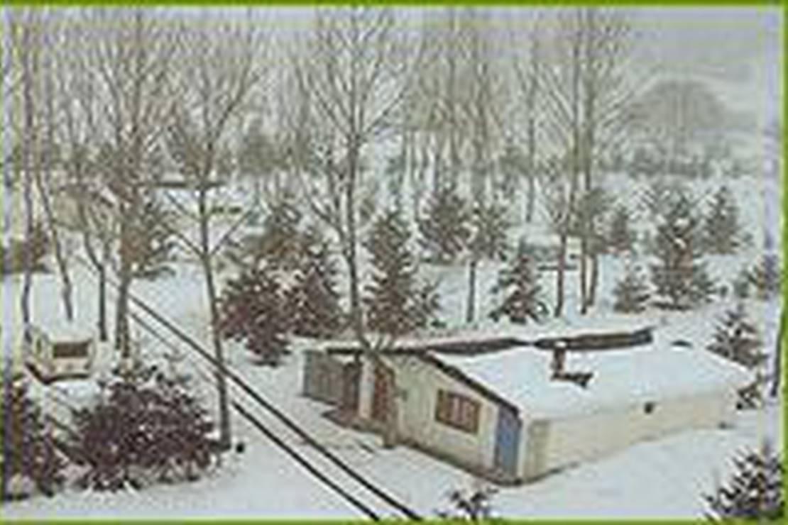 Campeggio La Fattoria 4