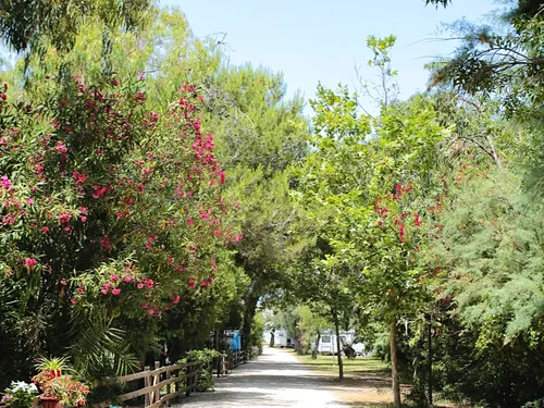 Campeggio La Foce dei Tramonti 6